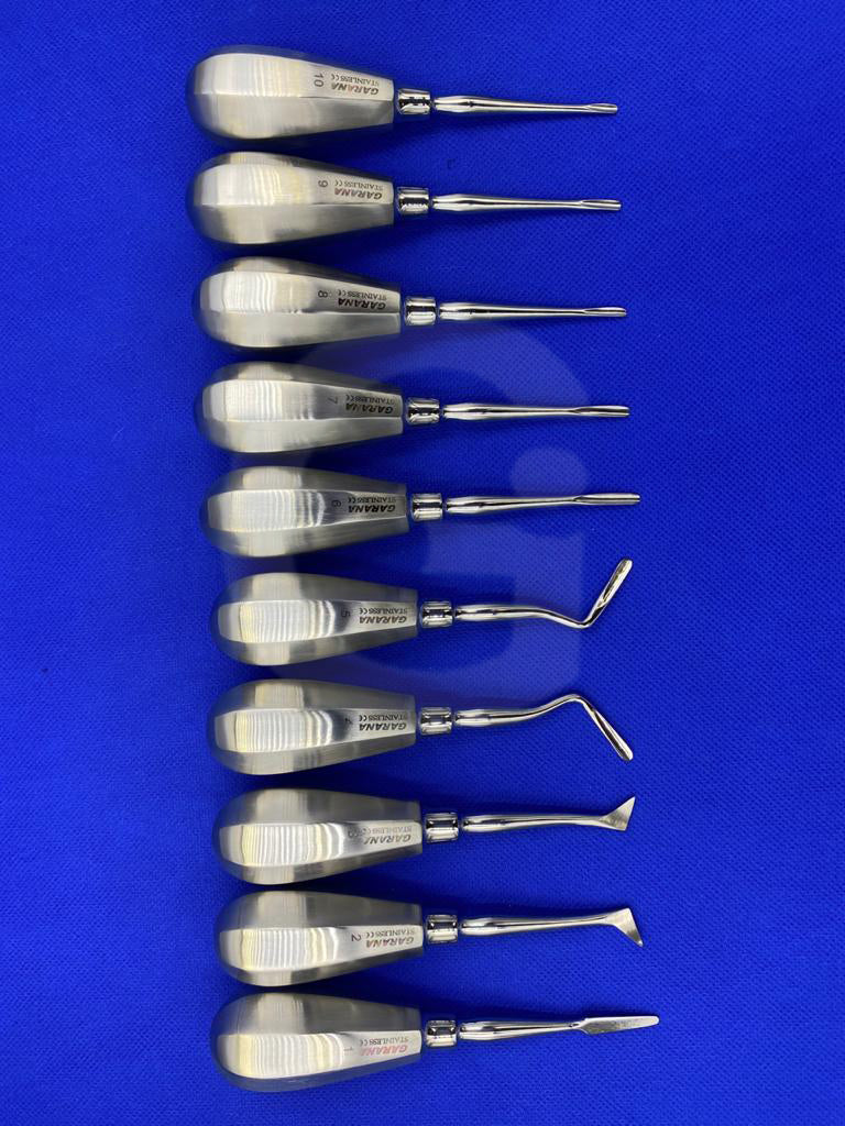 Root Elevator Small Handle Set of 10 Pcs / Dental Elevator Set